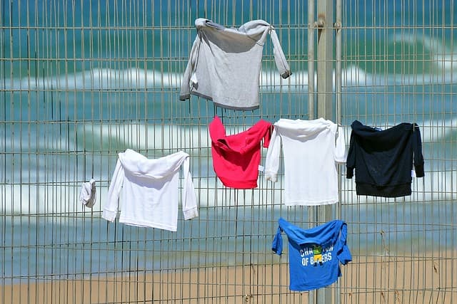sport