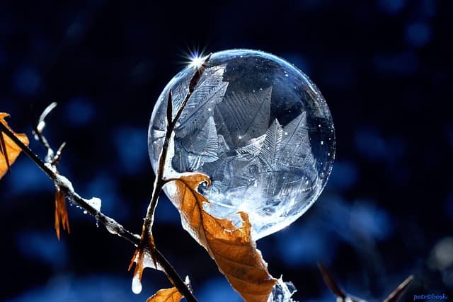 winter